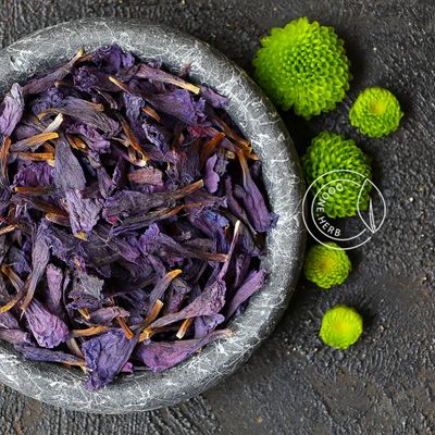 گل گاوزبان lifestyle